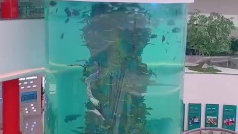 HOW DO YOU SAY MERMAID IN YOUR LANGUAGE