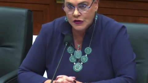 Harriet Hageman confronts DHS Sec. Mayorkas- 'we know you lied'