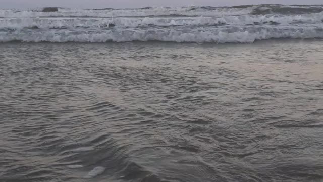 relaxed on the beach