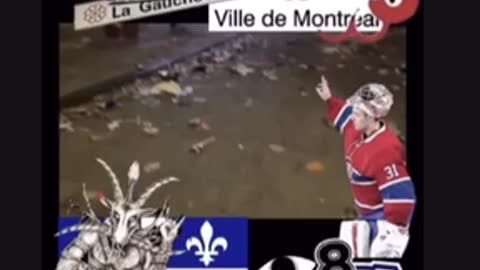 Go 🎱 Habs Go!