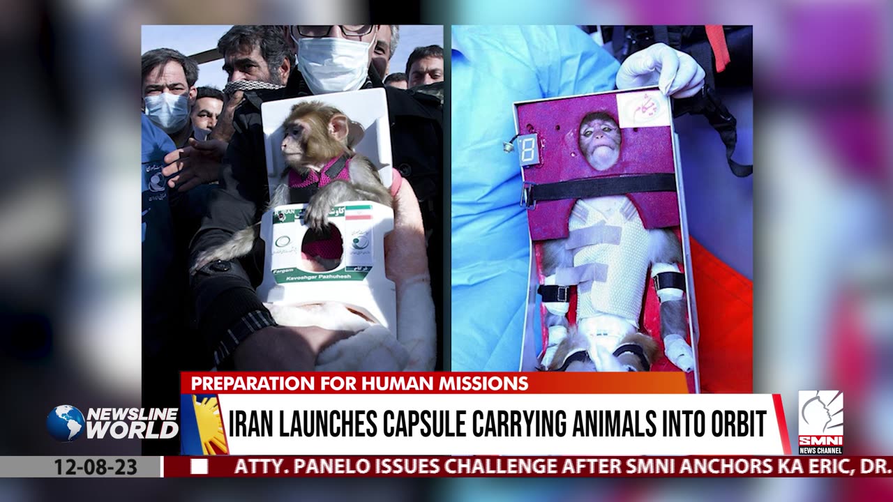 Iran launches capsule carrying animals into orbit