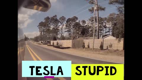 Tesla Stupid