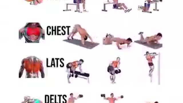 Full body workout