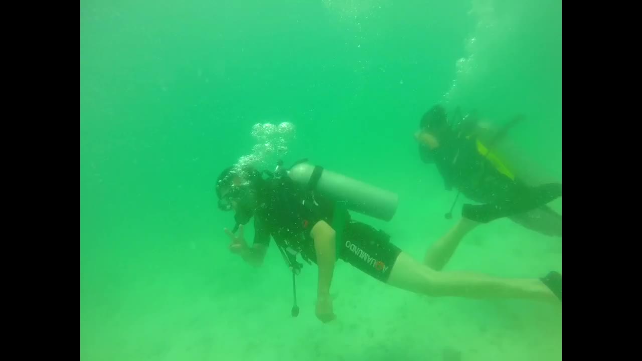 Scuba diving.