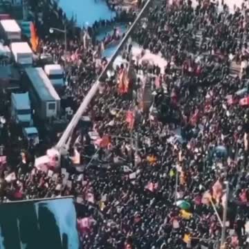 Freedom Is Worth Fighting For