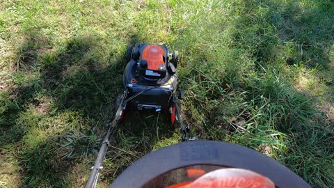 3X Mowing