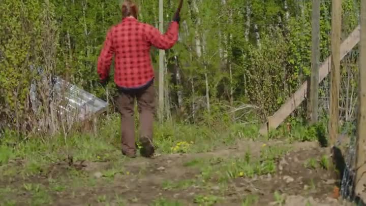 WILD BEAR RESCUE BC CANADA