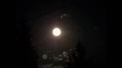 CC - 4.27.21 - CURIOUS APATHY