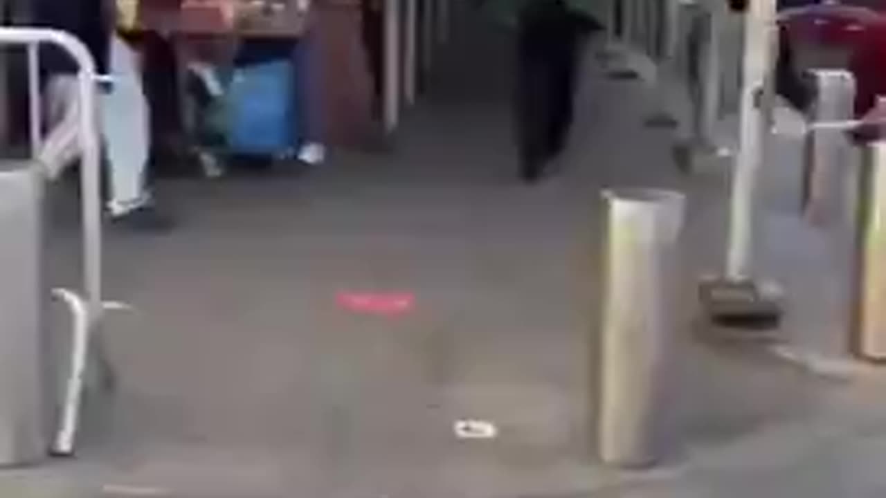 WTF is going on in New York City.mp4