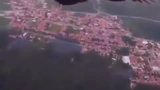 Paraglider meets a black vulture