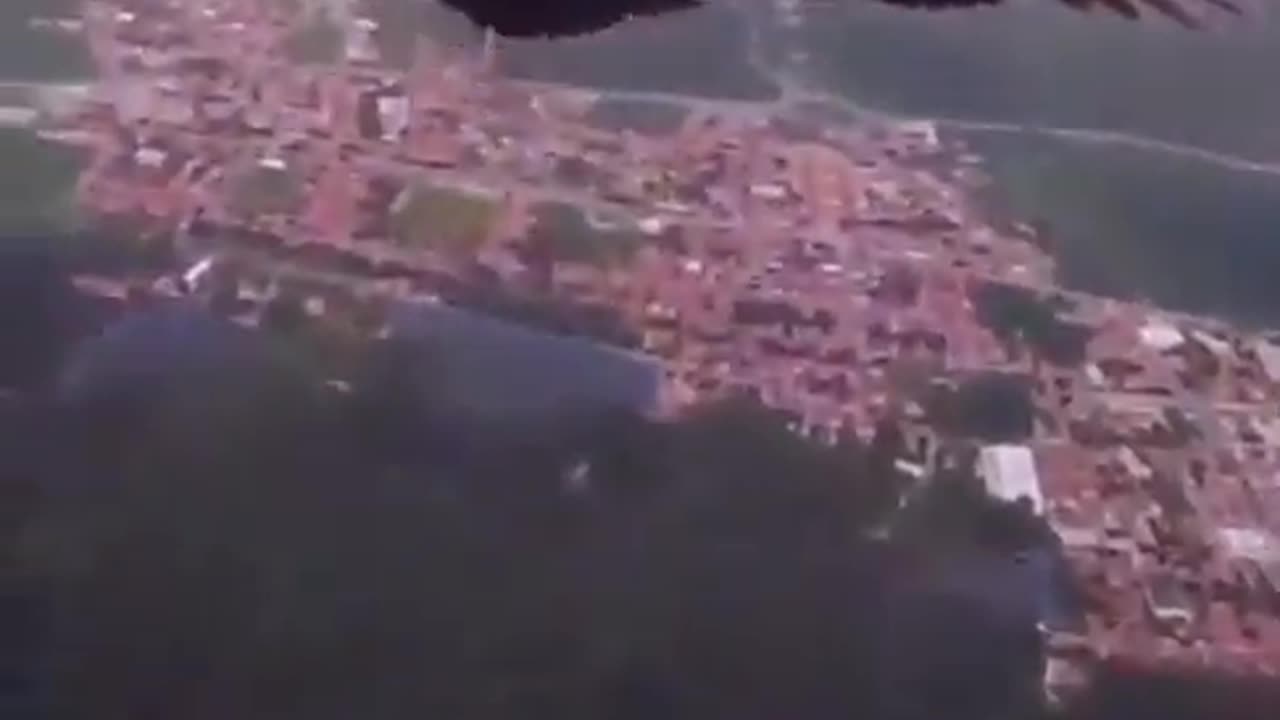 Paraglider meets a black vulture