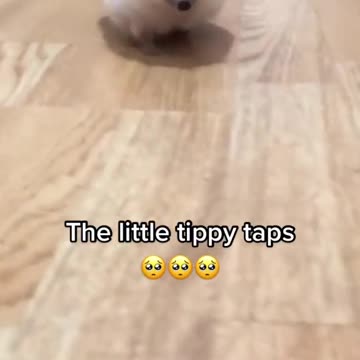 When mom says dinners ready #animallovers