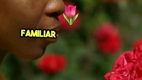 Did you know your nose can detect over 1 trillion scents?