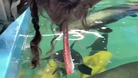 Actual footage of me doing a hair