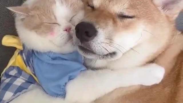impossible friendship