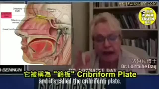 測試拭子也可以向你接種疫苗