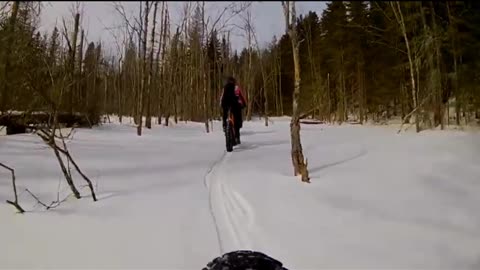 Fat biking on a frozen floodplain.