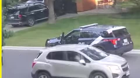 This Feathered Menace Has Police Officers Chasing Him