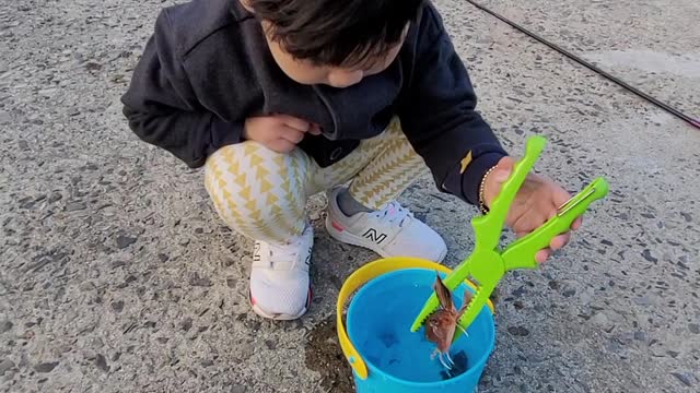 Fish grip