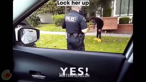 best memes videos 2020