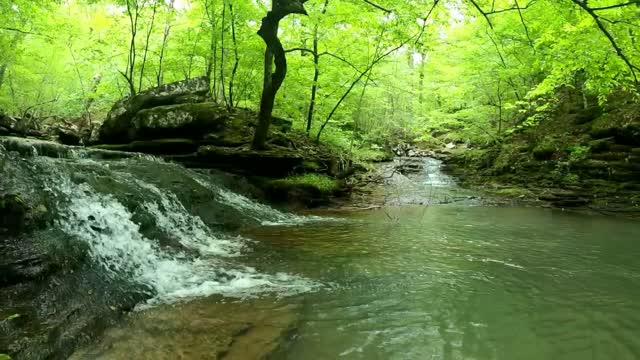 Two Creeks Interesting - Ozarks