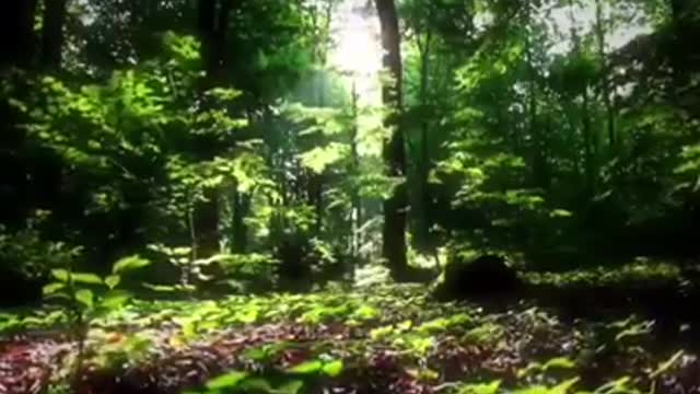 Time with God - December 18