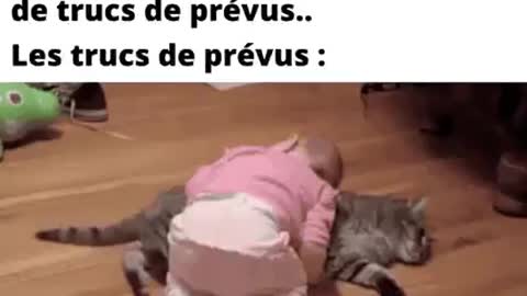 Gros projets 😂