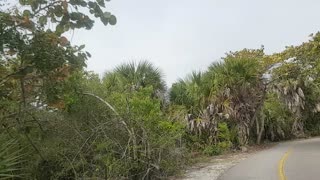 Sanibel Island, FL, Beach Bicycling Exploring 2022-02-06 part 1 of 2