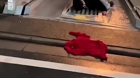 Big Fails Funny Videos