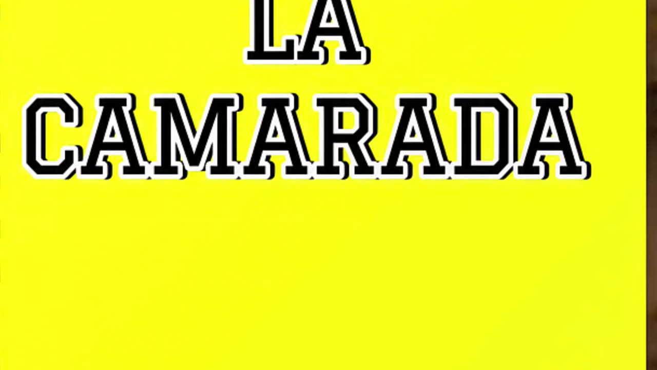 Tu nuevo cuaderno favorito para inspirarte cada día! #papelería #creatividad