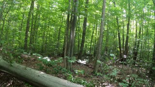 Tomahawk Loop B single track