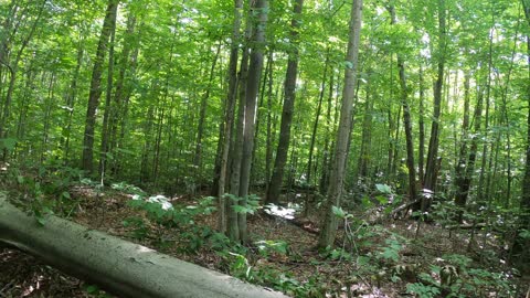 Tomahawk Loop B single track