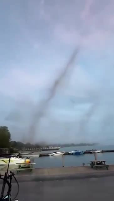 Billions of Bugs Here Now