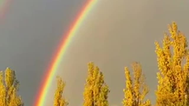 Beautiful rainbow in Vancouver