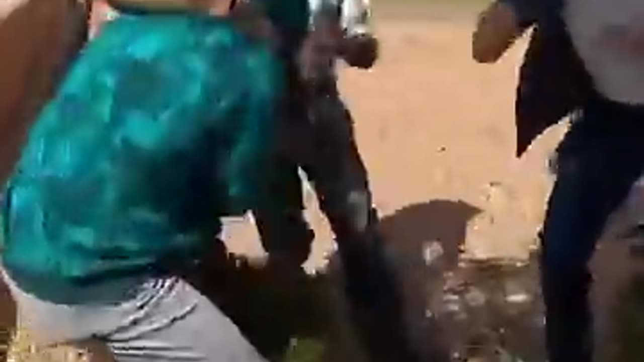 (Violent Content WARNING!) Deadly Force Incident