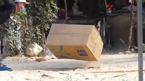 Troll Prank Dog Funny & fake Lion and Fake Tiger Prank To dog & Huge Box Prank to dog