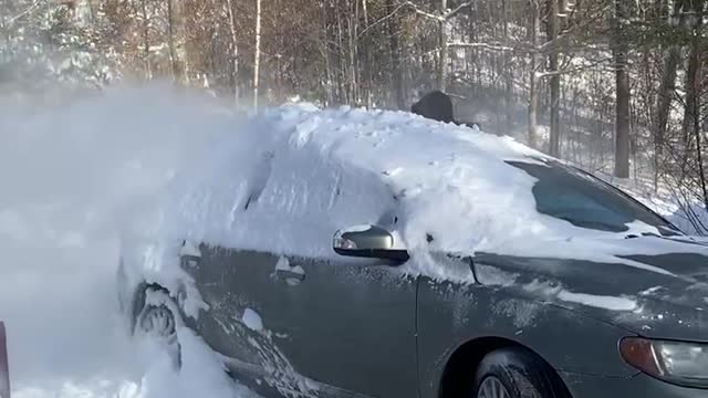 Mainer style