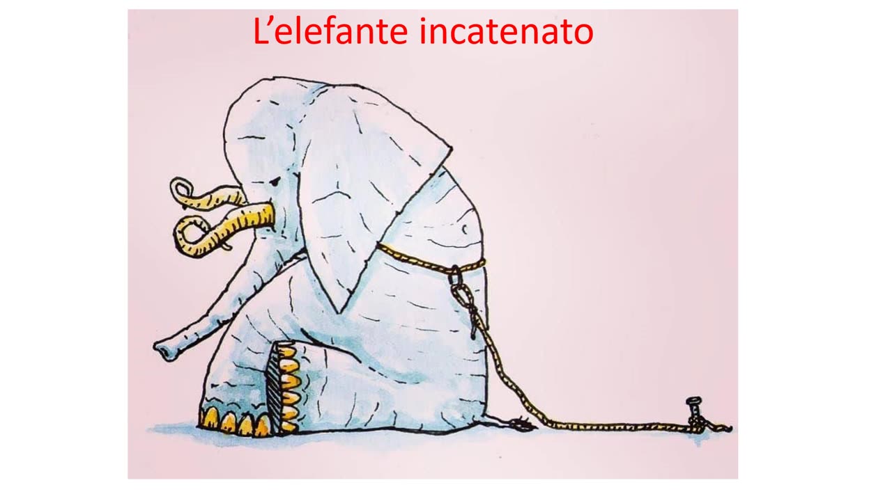 L’elefante incatenato