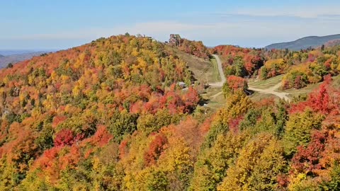 Most Beautiful Autumn Fall Leaves Colors views in Canada