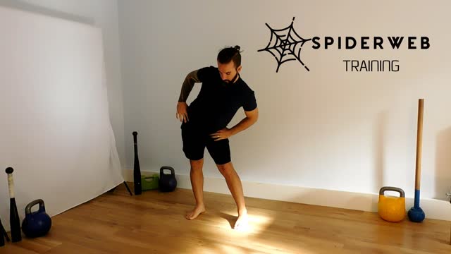 Standing Joint Mobility