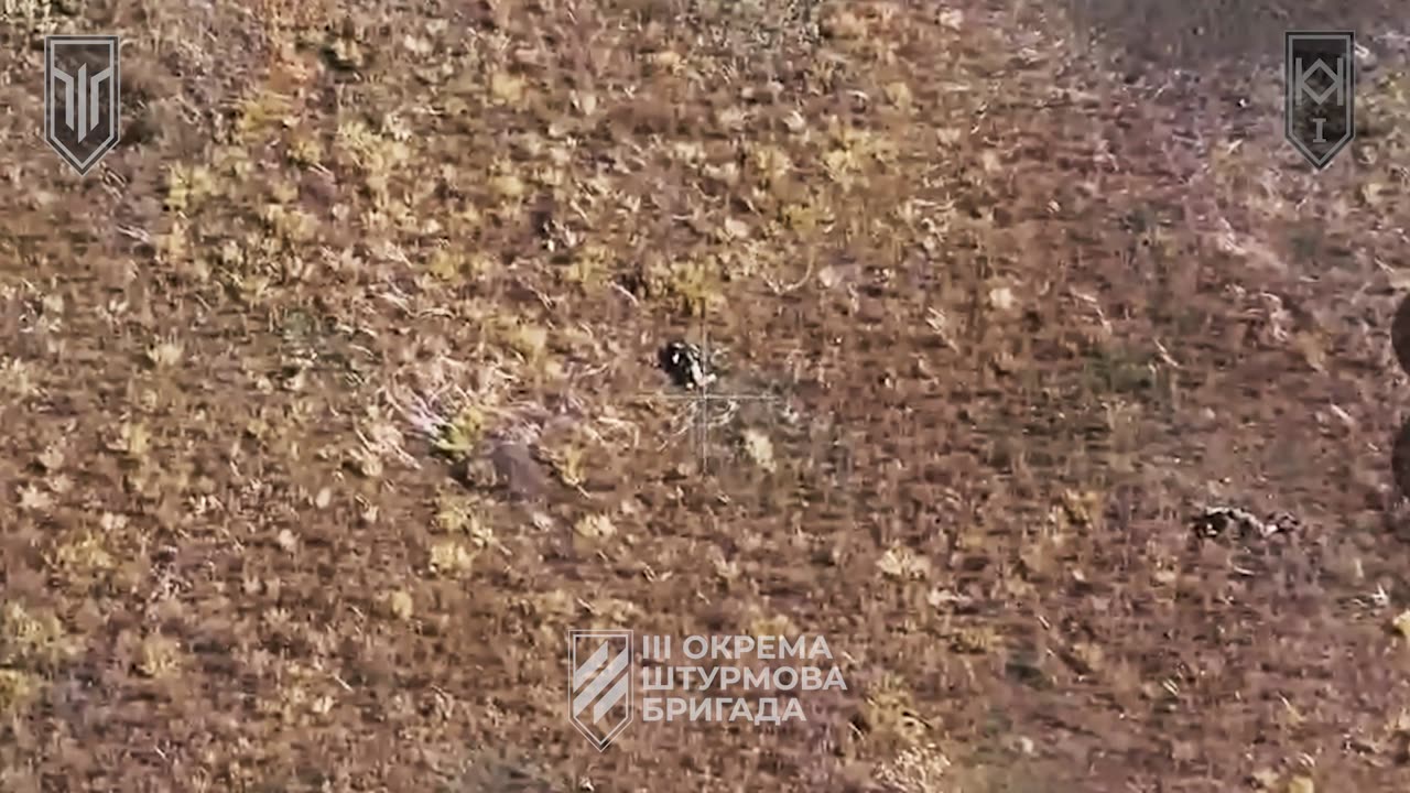 Relentless Drone Strikes on Russian Infantry Group