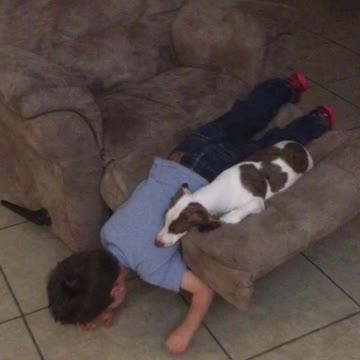 Boy Takes His Dog on Lazy Boy Merry-Go-Round