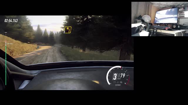 Dirt Rally 2.0 - Peugeot 208 R2 - Szkocja SS 5-6