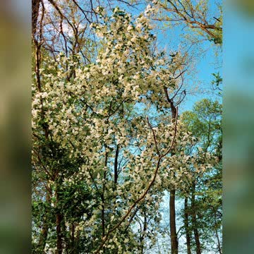 1 Day With Mother Nature