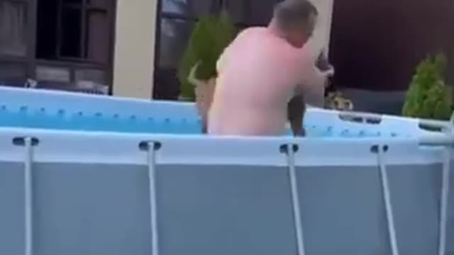 Dog wants to cool off in the pool