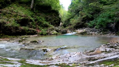 Wide Shot of Brook in Forest