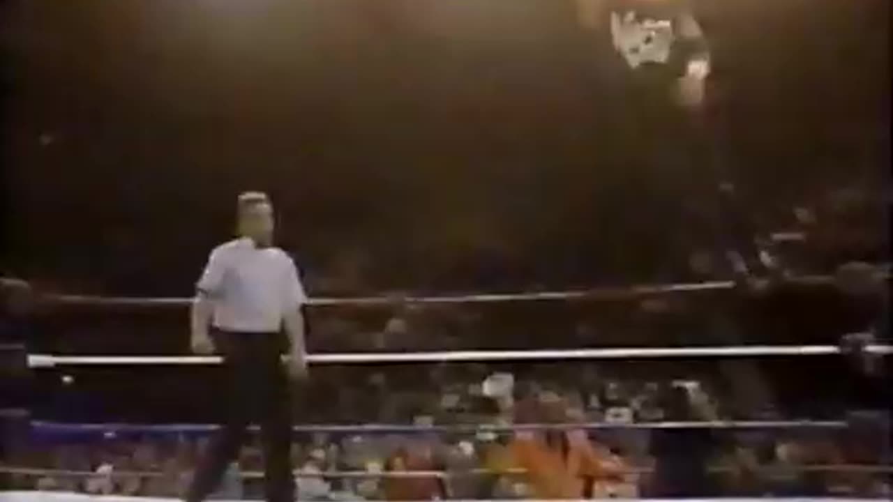 WWF Primetime Wrestling - Jan 14 1991