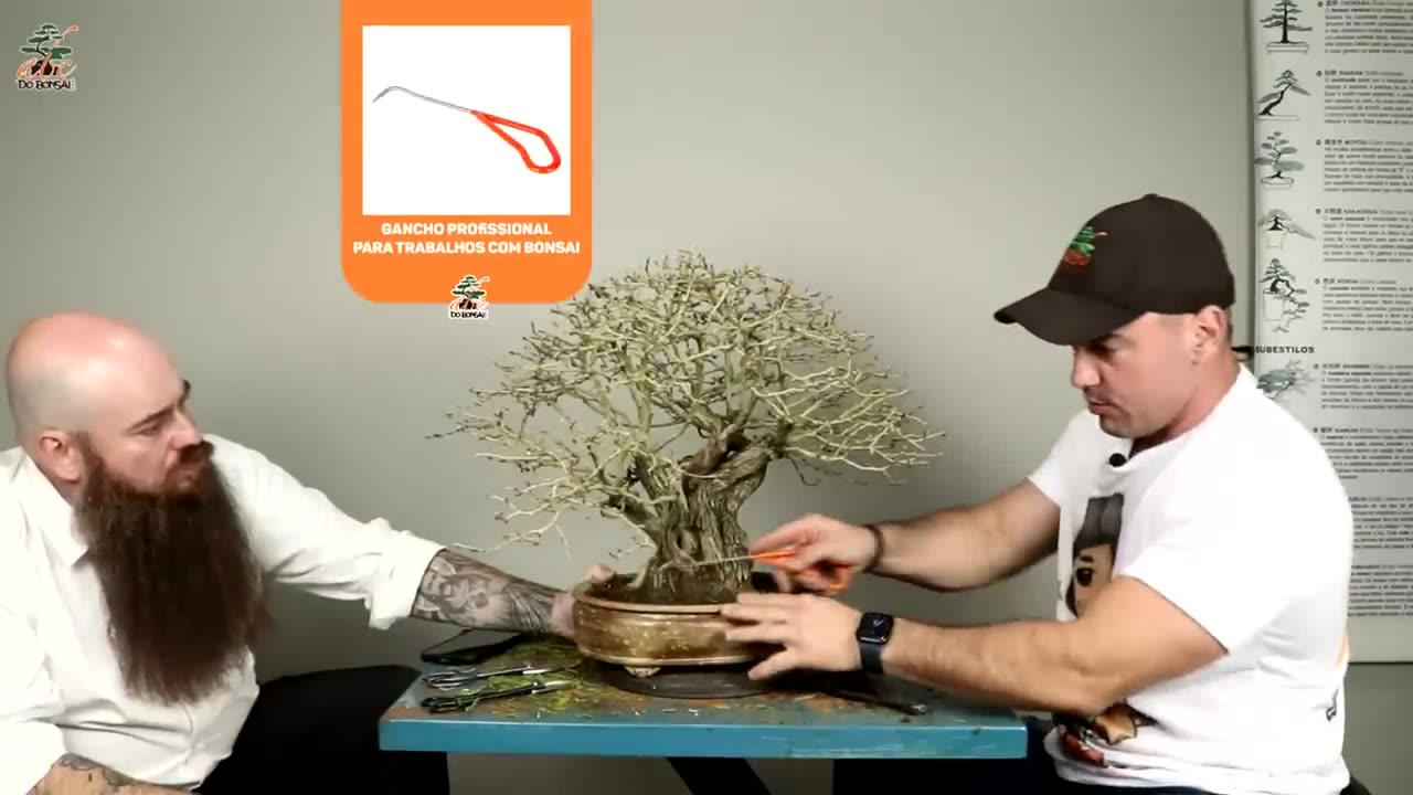 BONSAI CALLIANDRA ESPINOSA CAPA DE REVISTA