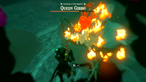 Totk Queen Gibdo fight