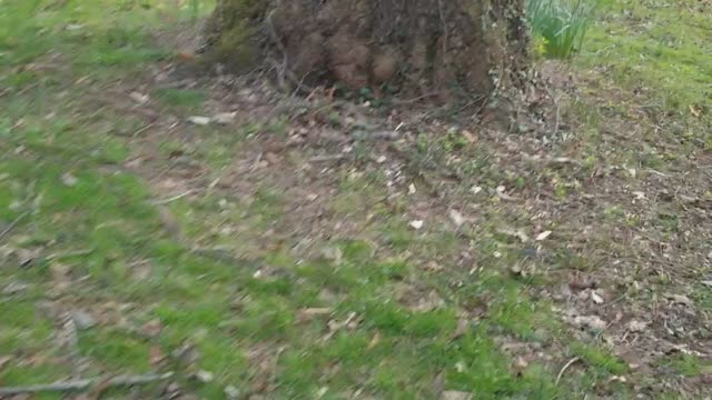 Merton walkaround after cleanup
